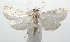  ( - 16-SRNP-101515)  @13 [ ] CreativeCommons  Attribution Non-Commercial Share-Alike (2017) Daniel H. Janzen Guanacaste Dry Forest Conservation Fund