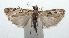 ( - 16-SRNP-101551)  @13 [ ] CreativeCommons  Attribution Non-Commercial Share-Alike (2017) Daniel H. Janzen Guanacaste Dry Forest Conservation Fund