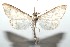  ( - 16-SRNP-101610)  @13 [ ] CreativeCommons  Attribution Non-Commercial Share-Alike (2017) Daniel H. Janzen Guanacaste Dry Forest Conservation Fund