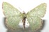  ( - 16-SRNP-101622)  @13 [ ] CreativeCommons  Attribution Non-Commercial Share-Alike (2017) Daniel H. Janzen Guanacaste Dry Forest Conservation Fund