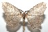  ( - 16-SRNP-101712)  @15 [ ] CreativeCommons  Attribution Non-Commercial Share-Alike (2017) Daniel H. Janzen Guanacaste Dry Forest Conservation Fund