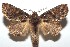  ( - 16-SRNP-101718)  @14 [ ] CreativeCommons  Attribution Non-Commercial Share-Alike (2017) Daniel H. Janzen Guanacaste Dry Forest Conservation Fund