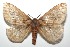  ( - 16-SRNP-101764)  @14 [ ] CreativeCommons  Attribution Non-Commercial Share-Alike (2017) Daniel H. Janzen Guanacaste Dry Forest Conservation Fund