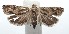  ( - 16-SRNP-101800)  @13 [ ] CreativeCommons  Attribution Non-Commercial Share-Alike (2017) Daniel H. Janzen Guanacaste Dry Forest Conservation Fund