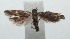  ( - 16-SRNP-101893)  @14 [ ] CreativeCommons  Attribution Non-Commercial Share-Alike (2017) Daniel H. Janzen Guanacaste Dry Forest Conservation Fund