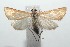  ( - 16-SRNP-101951)  @14 [ ] CreativeCommons  Attribution Non-Commercial Share-Alike (2017) Daniel H. Janzen Guanacaste Dry Forest Conservation Fund