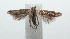  ( - 16-SRNP-102045)  @14 [ ] CreativeCommons  Attribution Non-Commercial Share-Alike (2017) Daniel H. Janzen Guanacaste Dry Forest Conservation Fund