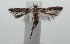  ( - 16-SRNP-103449)  @11 [ ] CreativeCommons - Attribution Non-Commercial Share-Alike (2018) Daniel H. Janzen Guanacaste Dry Forest Conservation Fund