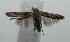  ( - 16-SRNP-103460)  @11 [ ] CreativeCommons - Attribution Non-Commercial Share-Alike (2018) Daniel H. Janzen Guanacaste Dry Forest Conservation Fund