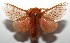  ( - 16-SRNP-104426)  @14 [ ] CreativeCommons - Attribution Non-Commercial Share-Alike (2018) Daniel H. Janzen Guanacaste Dry Forest Conservation Fund