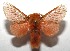  ( - 16-SRNP-104427)  @14 [ ] CreativeCommons - Attribution Non-Commercial Share-Alike (2018) Daniel H. Janzen Guanacaste Dry Forest Conservation Fund