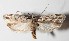  ( - 13-SRNP-3755)  @14 [ ] CreativeCommons  Attribution Non-Commercial Share-Alike (2016) Unspecified Guanacaste Dry Forest Conservation Fund