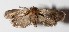  ( - 14-SRNP-2115)  @14 [ ] CreativeCommons  Attribution Non-Commercial Share-Alike (2016) Unspecified Guanacaste Dry Forest Conservation Fund