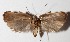  ( - 14-SRNP-230)  @13 [ ] CreativeCommons  Attribution Non-Commercial Share-Alike (2016) Unspecified Guanacaste Dry Forest Conservation Fund