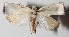  ( - 14-SRNP-2643)  @14 [ ] CreativeCommons  Attribution Non-Commercial Share-Alike (2016) Unspecified Guanacaste Dry Forest Conservation Fund