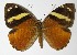  ( - 02-SRNP-6608)  @14 [ ] CreativeCommons  Attribution Non-Commercial Share-Alike (2017) Daniel H. Janzen Guanacaste Dry Forest Conservation Fund