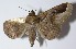  ( - 12-SRNP-12328)  @13 [ ] CreativeCommons  Attribution Non-Commercial Share-Alike (2017) Daniel H. Janzen Guanacaste Dry Forest Conservation Fund
