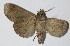  ( - 12-SRNP-12328)  @13 [ ] CreativeCommons  Attribution Non-Commercial Share-Alike (2017) Daniel H. Janzen Guanacaste Dry Forest Conservation Fund
