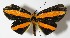  ( - 12-SRNP-85923)  @14 [ ] CreativeCommons  Attribution Non-Commercial Share-Alike (2017) Daniel H. Janzen Guanacaste Dry Forest Conservation Fund