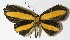  ( - 12-SRNP-85923)  @13 [ ] CreativeCommons  Attribution Non-Commercial Share-Alike (2017) Daniel H. Janzen Guanacaste Dry Forest Conservation Fund