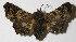  ( - 12-SRNP-86712)  @13 [ ] CreativeCommons  Attribution Non-Commercial Share-Alike (2017) Daniel H. Janzen Guanacaste Dry Forest Conservation Fund