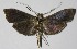  ( - 13-SRNP-229)  @14 [ ] CreativeCommons  Attribution Non-Commercial Share-Alike (2017) Daniel H. Janzen Guanacaste Dry Forest Conservation Fund