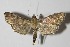  ( - 13-SRNP-532)  @11 [ ] CreativeCommons  Attribution Non-Commercial Share-Alike (2017) Daniel H. Janzen Guanacaste Dry Forest Conservation Fund