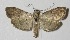  ( - 13-SRNP-533)  @11 [ ] CreativeCommons  Attribution Non-Commercial Share-Alike (2017) Daniel H. Janzen Guanacaste Dry Forest Conservation Fund