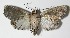  ( - 13-SRNP-70259)  @14 [ ] CreativeCommons  Attribution Non-Commercial Share-Alike (2017) Daniel H. Janzen Guanacaste Dry Forest Conservation Fund