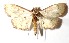  ( - 14-SRNP-4236)  @14 [ ] CreativeCommons  Attribution Non-Commercial Share-Alike (2017) Daniel H. Janzen Guanacaste Dry Forest Conservation Fund