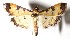  ( - 14-SRNP-5377)  @14 [ ] CreativeCommons  Attribution Non-Commercial Share-Alike (2017) Daniel H. Janzen Guanacaste Dry Forest Conservation Fund