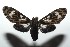  ( - 15-SRNP-102165)  @13 [ ] CreativeCommons  Attribution Non-Commercial Share-Alike (2016) Unspecified Guanacaste Dry Forest Conservation Fund
