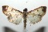  ( - 15-SRNP-102181)  @13 [ ] CreativeCommons  Attribution Non-Commercial Share-Alike (2016) Unspecified Guanacaste Dry Forest Conservation Fund