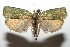  ( - 15-SRNP-102207)  @15 [ ] CreativeCommons  Attribution Non-Commercial Share-Alike (2016) Unspecified Guanacaste Dry Forest Conservation Fund