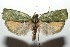  ( - 15-SRNP-102208)  @15 [ ] CreativeCommons  Attribution Non-Commercial Share-Alike (2016) Unspecified Guanacaste Dry Forest Conservation Fund