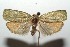  ( - 15-SRNP-102210)  @15 [ ] CreativeCommons  Attribution Non-Commercial Share-Alike (2016) Unspecified Guanacaste Dry Forest Conservation Fund