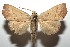  ( - 15-SRNP-102327)  @11 [ ] CreativeCommons  Attribution Non-Commercial Share-Alike (2016) Unspecified Guanacaste Dry Forest Conservation Fund