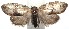  ( - 15-SRNP-102374)  @13 [ ] CreativeCommons  Attribution Non-Commercial Share-Alike (2016) Unspecified Guanacaste Dry Forest Conservation Fund