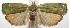  ( - 15-SRNP-102418)  @13 [ ] CreativeCommons  Attribution Non-Commercial Share-Alike (2016) Unspecified Guanacaste Dry Forest Conservation Fund