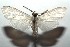  ( - 15-SRNP-102469)  @14 [ ] CreativeCommons  Attribution Non-Commercial Share-Alike (2016) Unspecified Guanacaste Dry Forest Conservation Fund