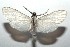  ( - 15-SRNP-102472)  @14 [ ] CreativeCommons  Attribution Non-Commercial Share-Alike (2016) Unspecified Guanacaste Dry Forest Conservation Fund