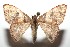  ( - 15-SRNP-102486)  @14 [ ] CreativeCommons  Attribution Non-Commercial Share-Alike (2016) Unspecified Guanacaste Dry Forest Conservation Fund