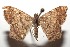  ( - 15-SRNP-102490)  @14 [ ] CreativeCommons  Attribution Non-Commercial Share-Alike (2016) Unspecified Guanacaste Dry Forest Conservation Fund