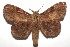  ( - 15-SRNP-102557)  @14 [ ] CreativeCommons  Attribution Non-Commercial Share-Alike (2016) Unspecified Guanacaste Dry Forest Conservation Fund