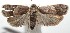  ( - 15-SRNP-102595)  @14 [ ] CreativeCommons  Attribution Non-Commercial Share-Alike (2016) Unspecified Guanacaste Dry Forest Conservation Fund