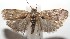  ( - 15-SRNP-102596)  @14 [ ] CreativeCommons  Attribution Non-Commercial Share-Alike (2016) Unspecified Guanacaste Dry Forest Conservation Fund