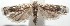  ( - 15-SRNP-102597)  @14 [ ] CreativeCommons  Attribution Non-Commercial Share-Alike (2016) Unspecified Guanacaste Dry Forest Conservation Fund