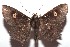  ( - 15-SRNP-102657)  @14 [ ] CreativeCommons  Attribution Non-Commercial Share-Alike (2016) Unspecified Guanacaste Dry Forest Conservation Fund