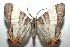  ( - 15-SRNP-102717)  @14 [ ] CreativeCommons  Attribution Non-Commercial Share-Alike (2016) Unspecified Guanacaste Dry Forest Conservation Fund