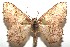  ( - 15-SRNP-102724)  @11 [ ] CreativeCommons  Attribution Non-Commercial Share-Alike (2016) Unspecified Guanacaste Dry Forest Conservation Fund